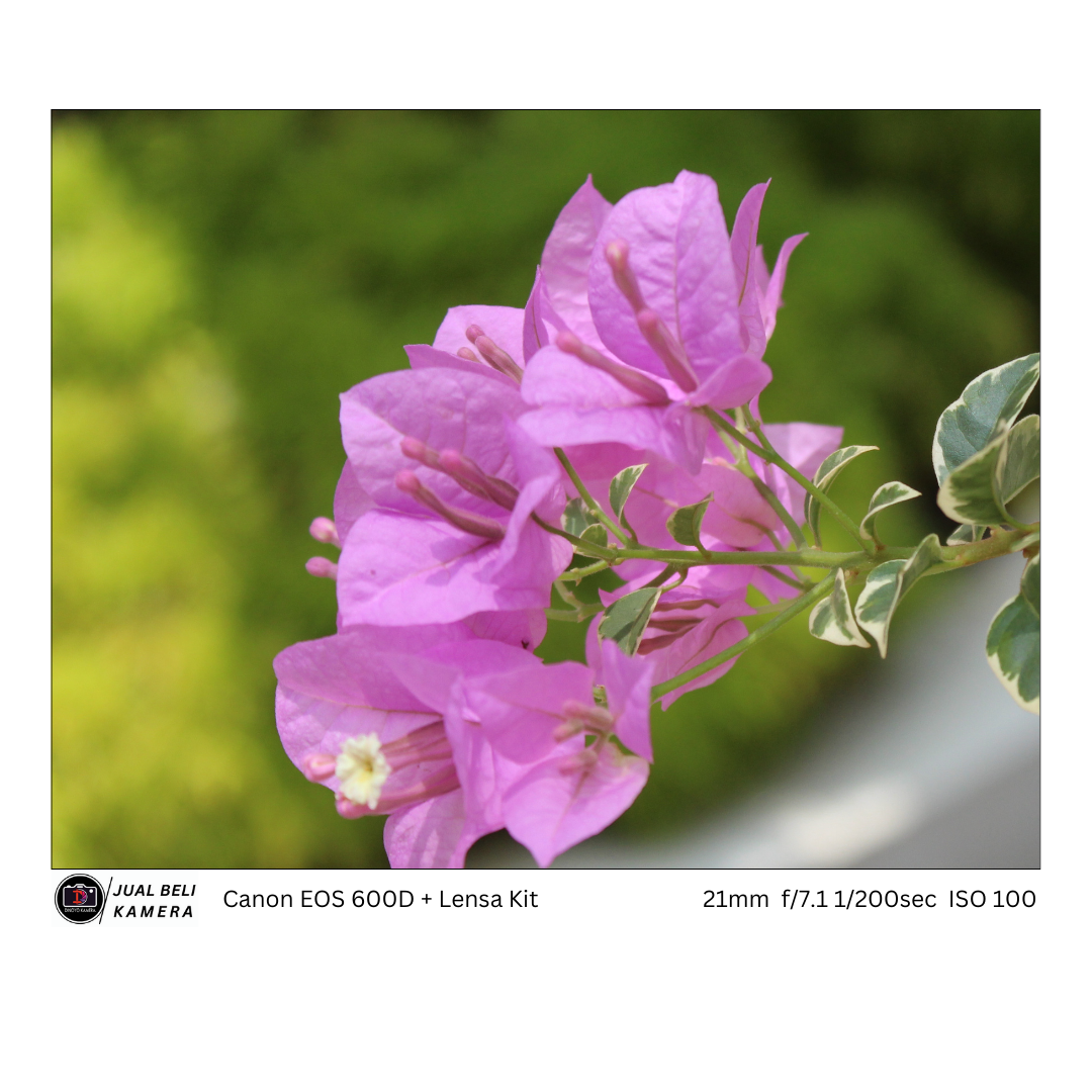 Canon 600d + kit 18 55mm