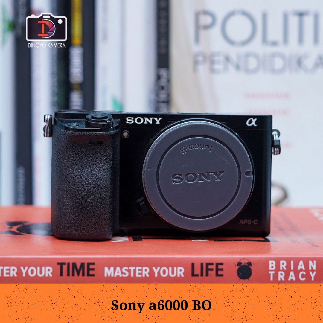 Sony a6000 + kit 16 50mm (black)