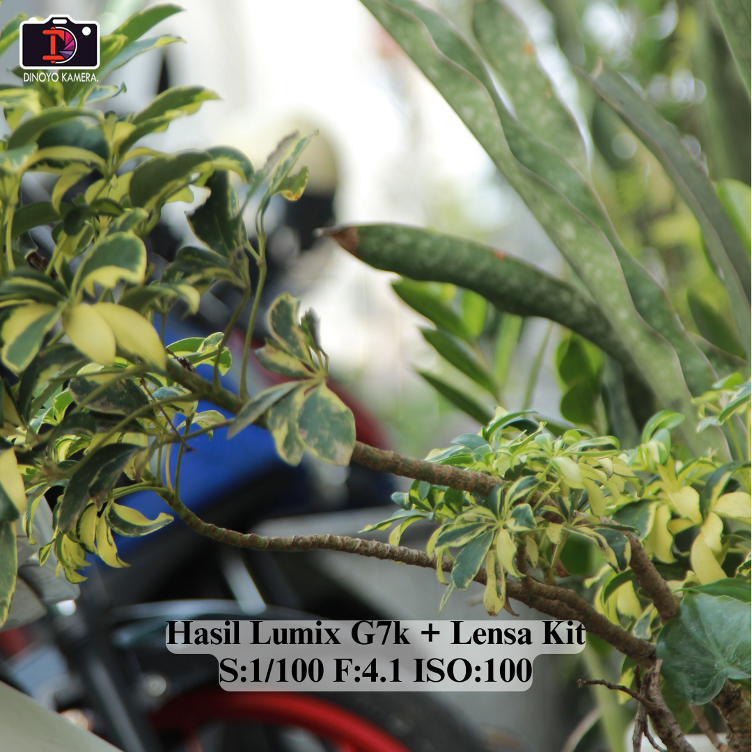 Lumix G7k + kit 14 42mm