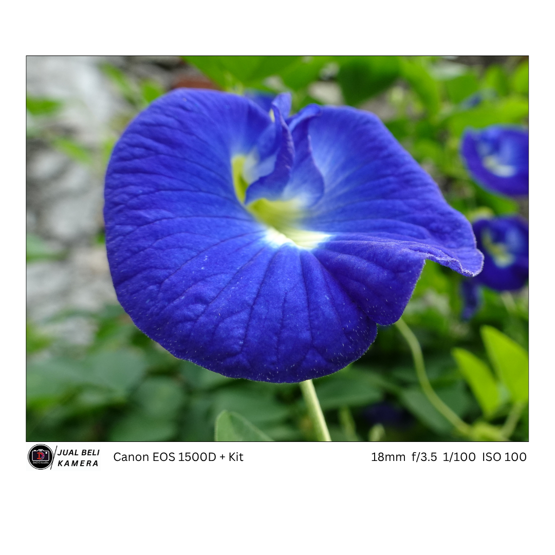 Canon Eos 1500d + kit 18 55mm