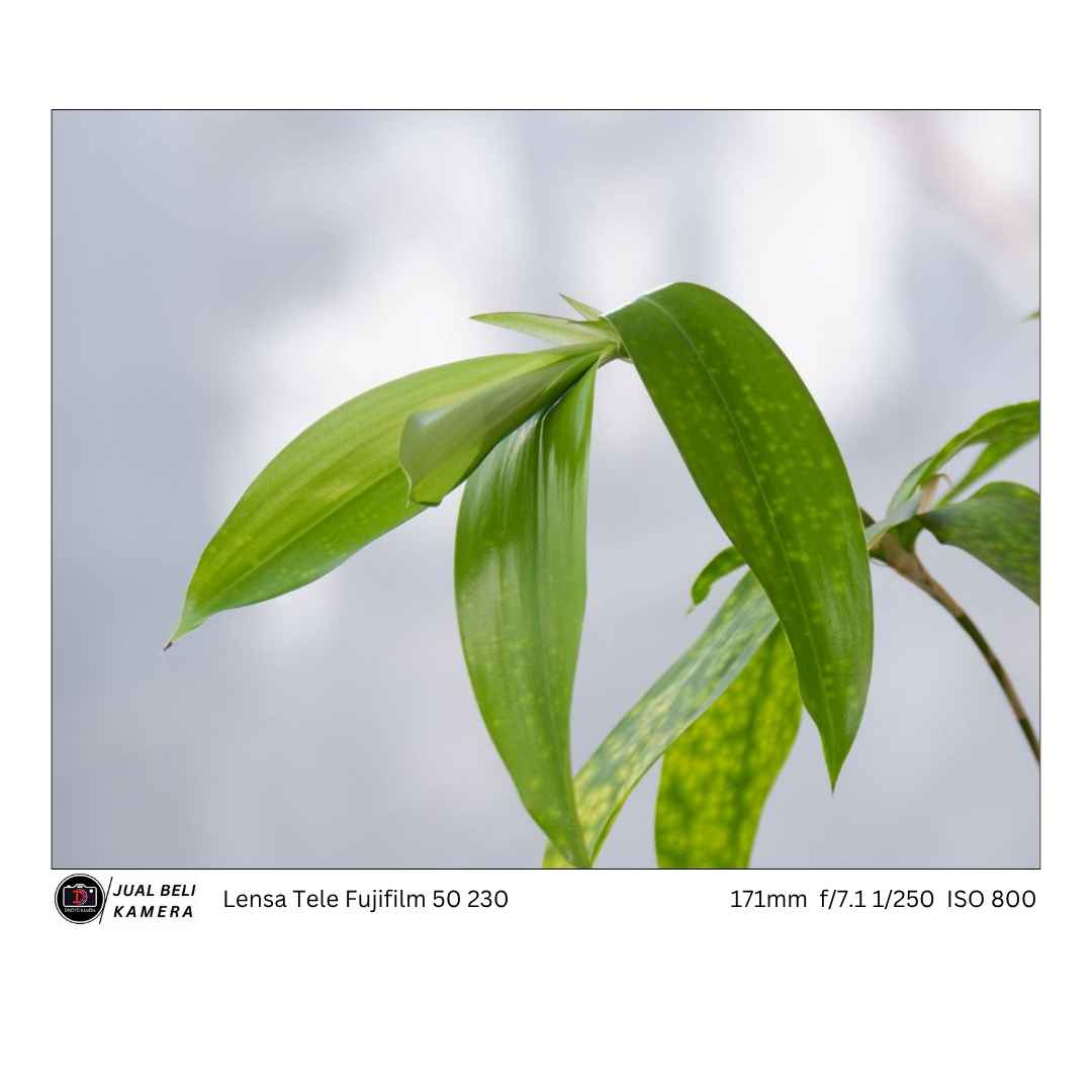 Lensa  tele fujiiflm 50 230mm (Silver)