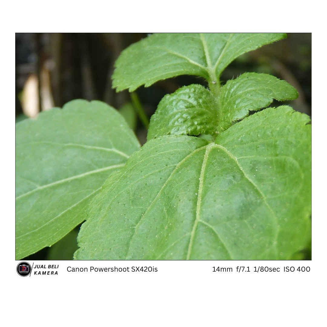 Canon Powershoot SX400is