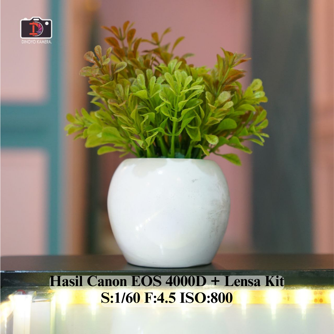 Canon Eos 4000D + kit 18 55mm