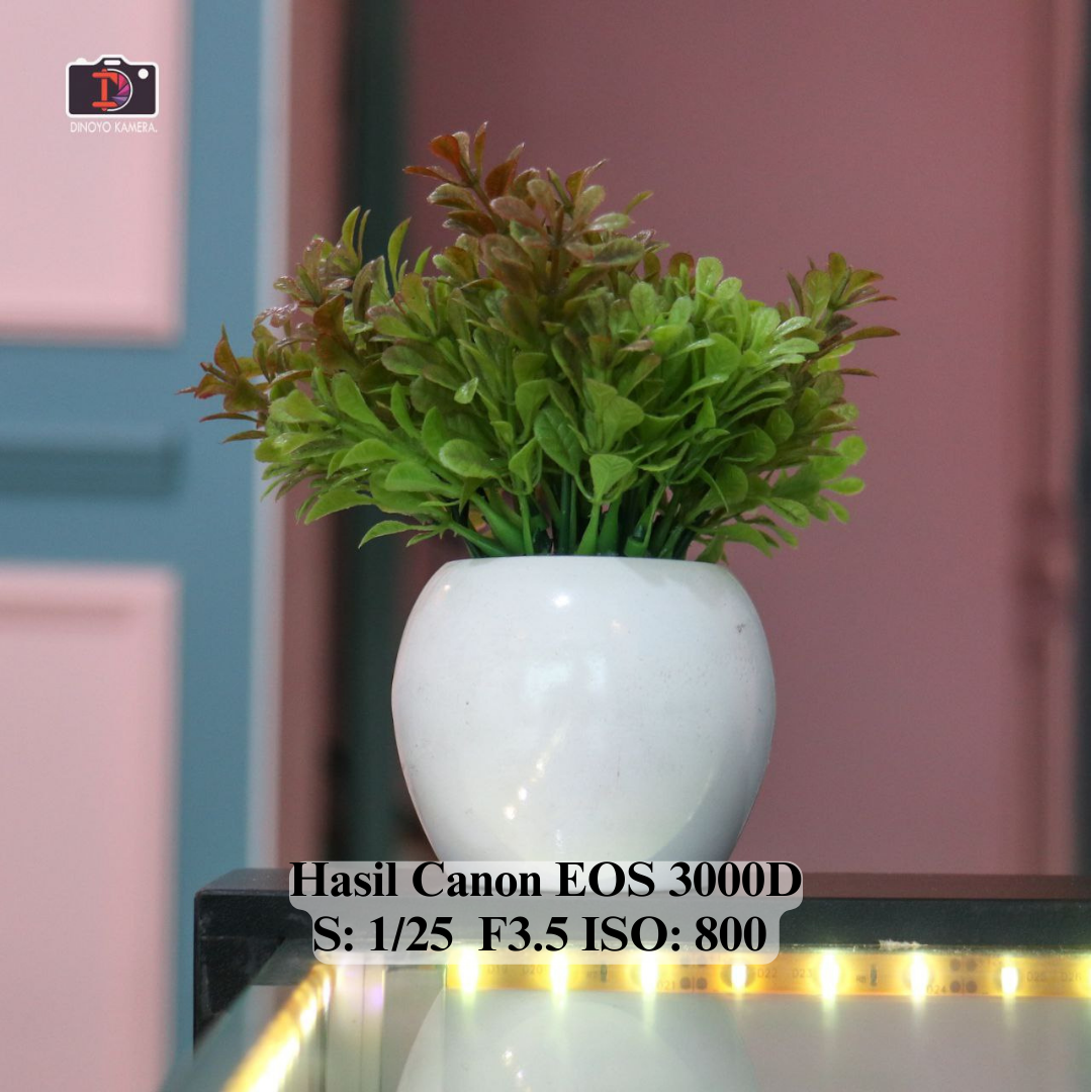 Canon 3000D + kit 18 55mm