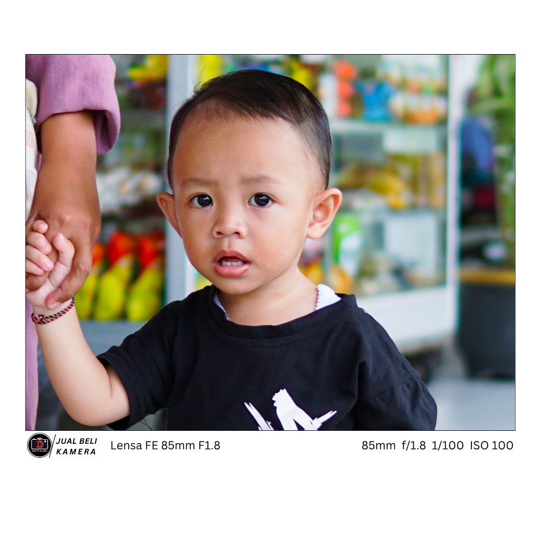 Lensa Sony FE 85mm F1.8