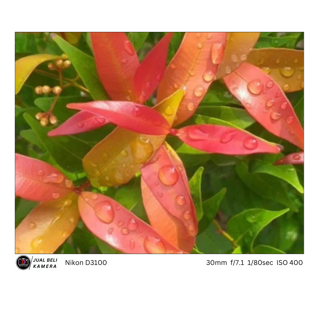 Lensa Canon M 15 45mm (Black)