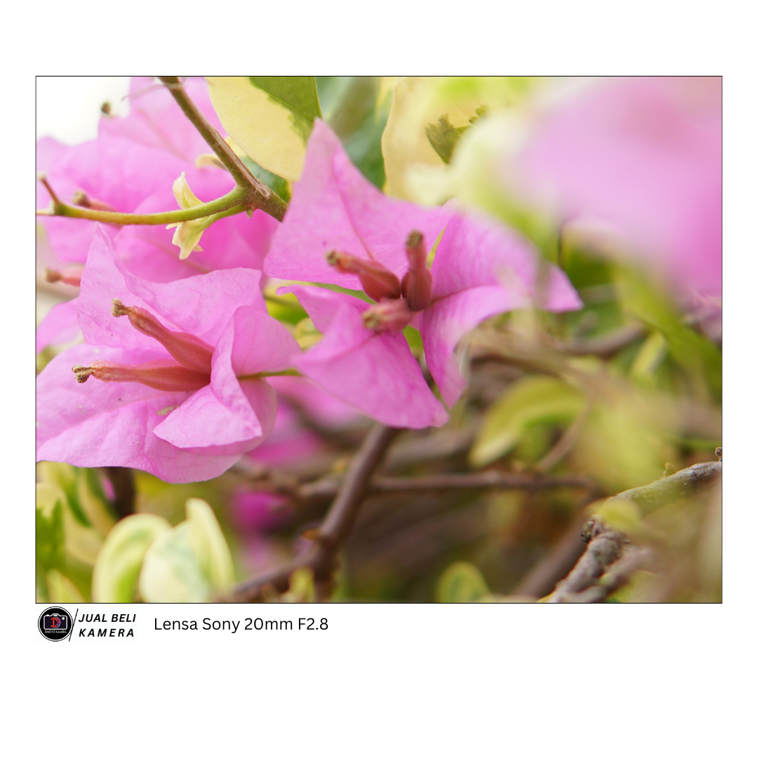 Lensa Sony 20mm F2.8 OSS