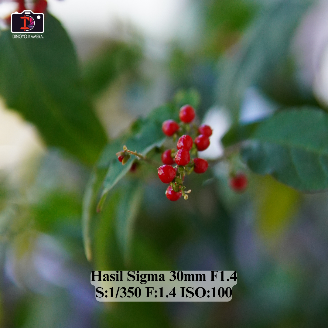 Lensa Sigma 30mm F1.4 For Sony