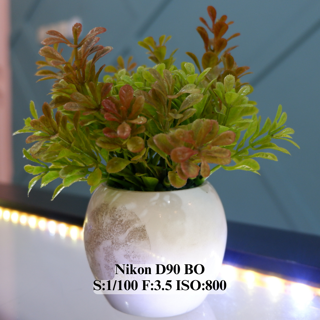 Nikon D90 Body Only