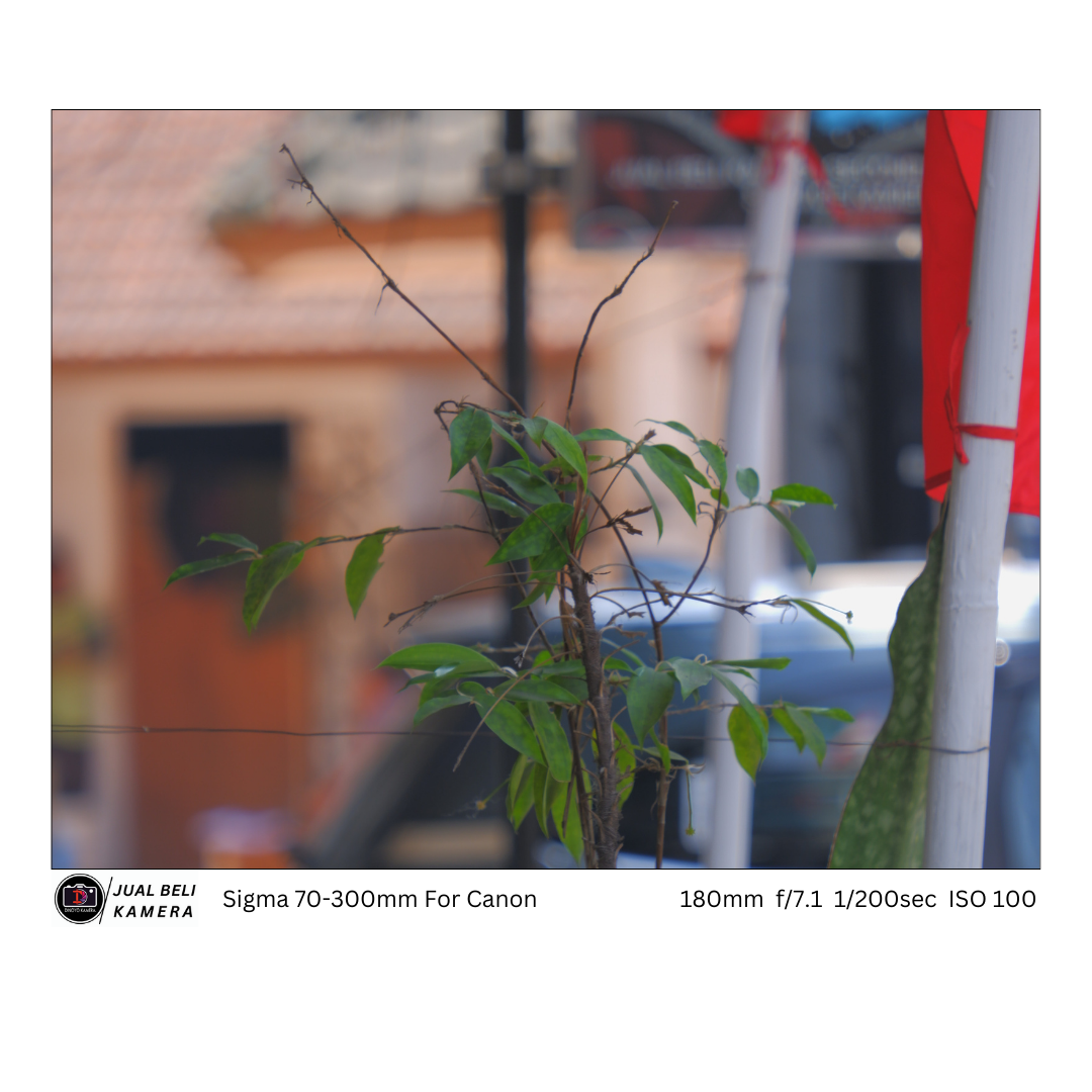 Lensa Sigma 70 300mm for Nikon