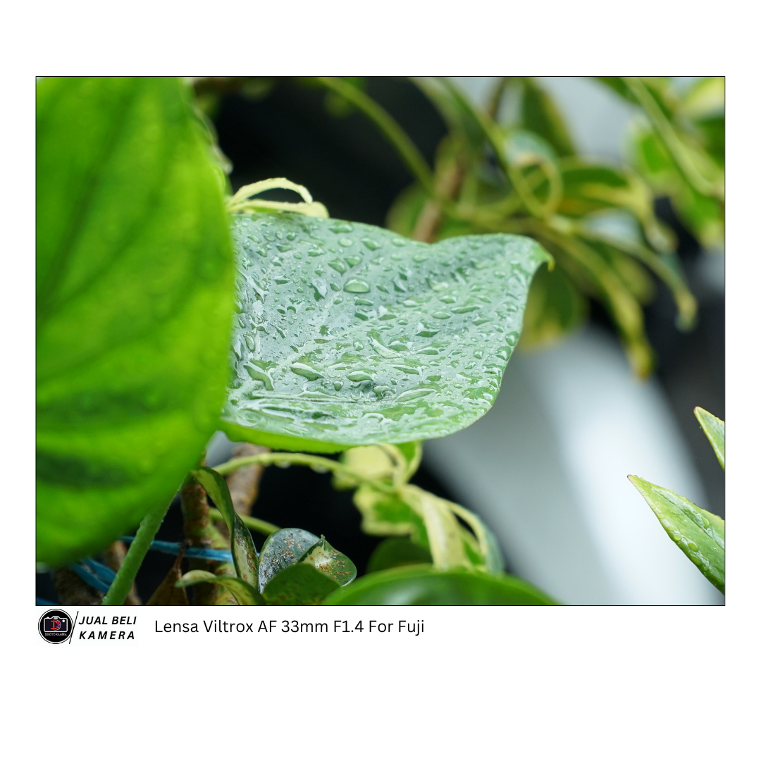 Lensa Viltrox 33mm F1.4 XF