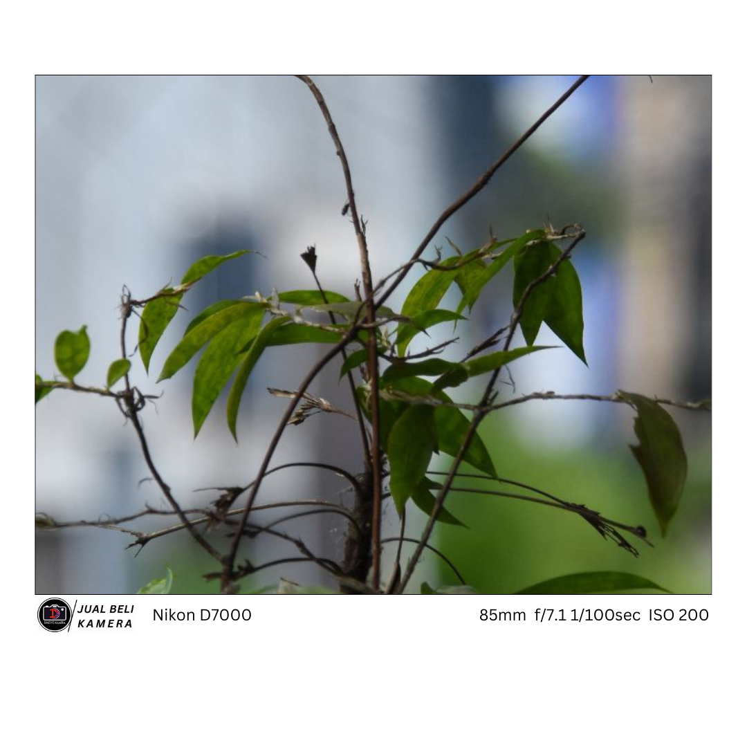 Nikon D7000 Body Only