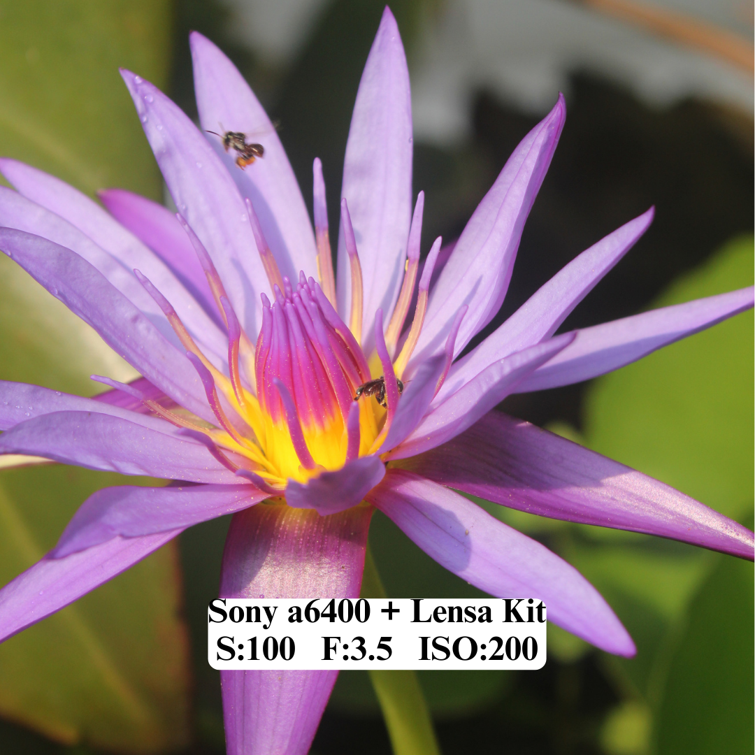 Sony a6400 + kit 16 50mm (Black)