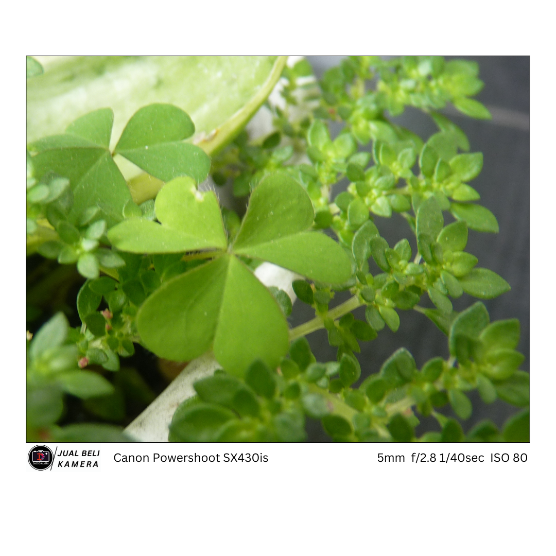 Canon Powershoot SX430is