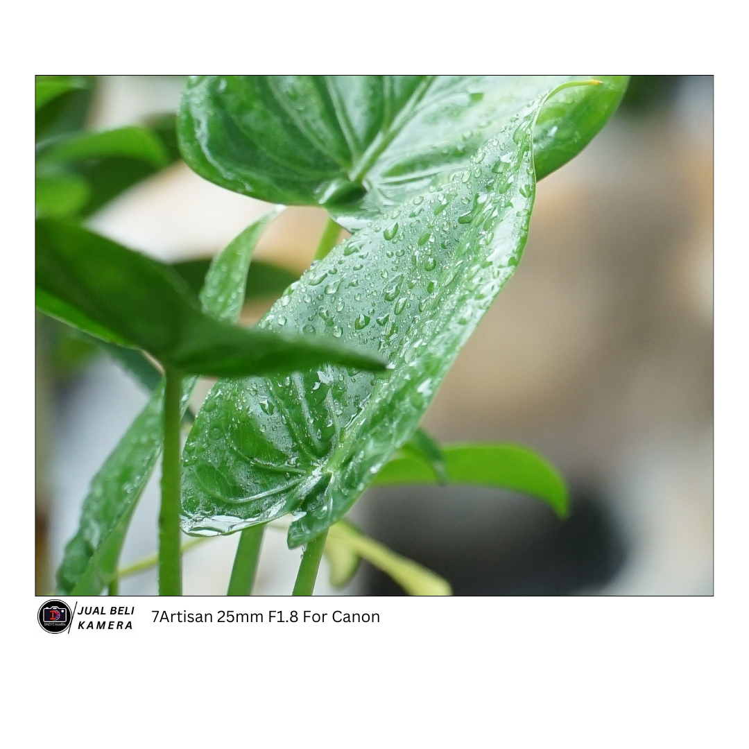 Lensa 7artisan 25mm F1,8 For canon M