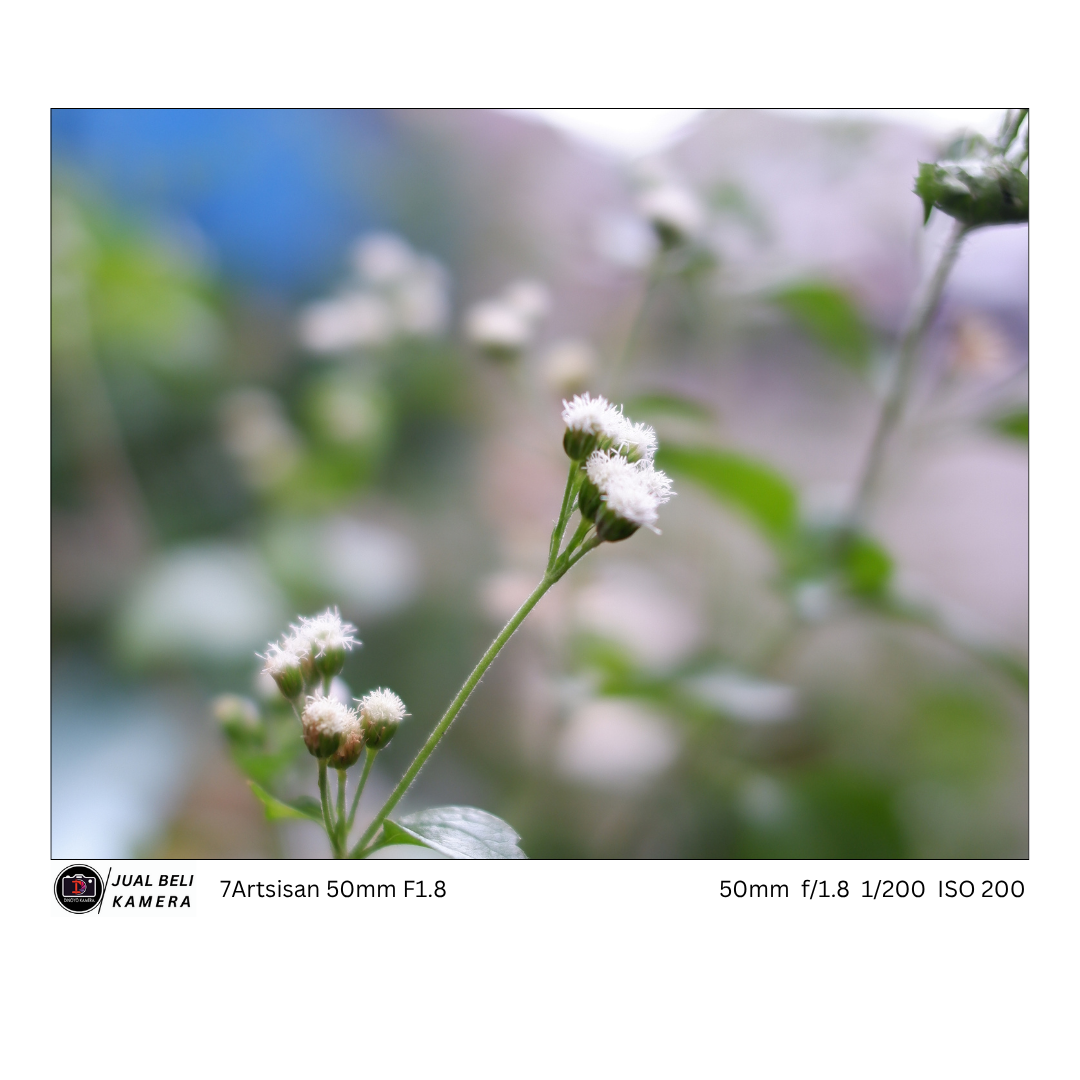 Lensa 7artisan 50mm F1,8 for canon M