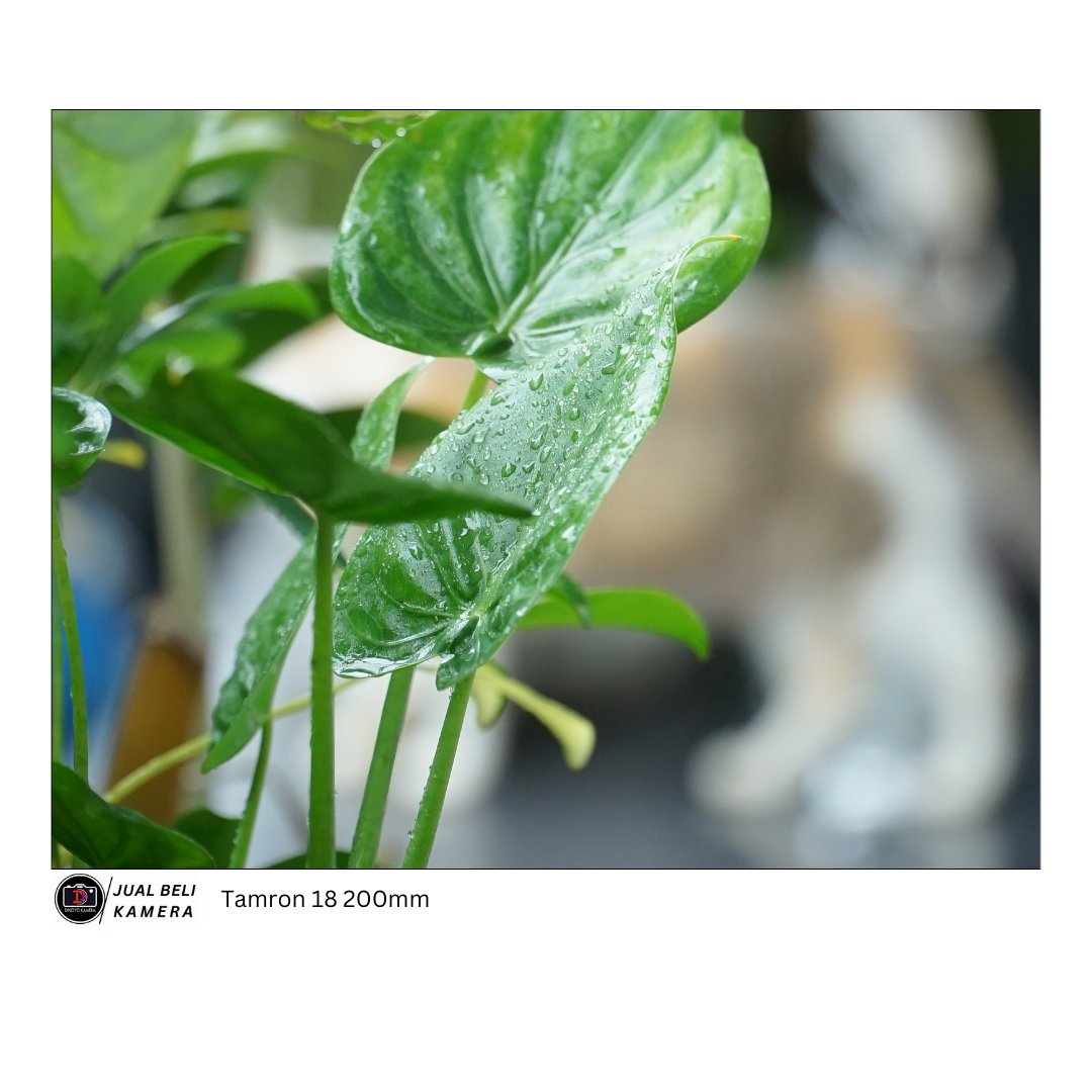 Lensa Tamron 18 200mm For Canon