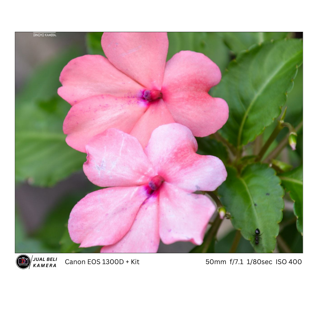 Canon 1300d + kit 18 55mm Second