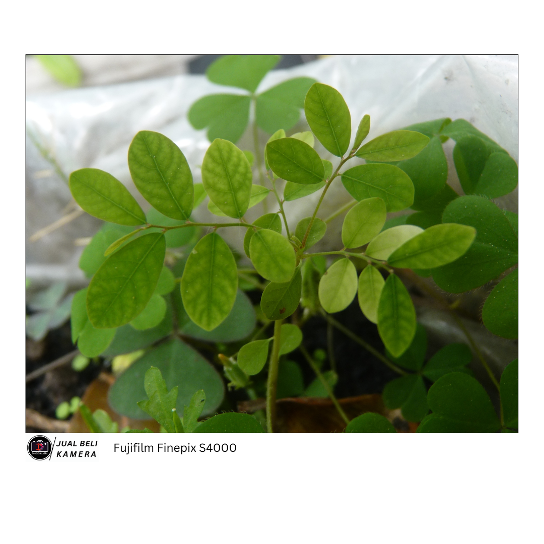 Fujifilm Finepix s4000