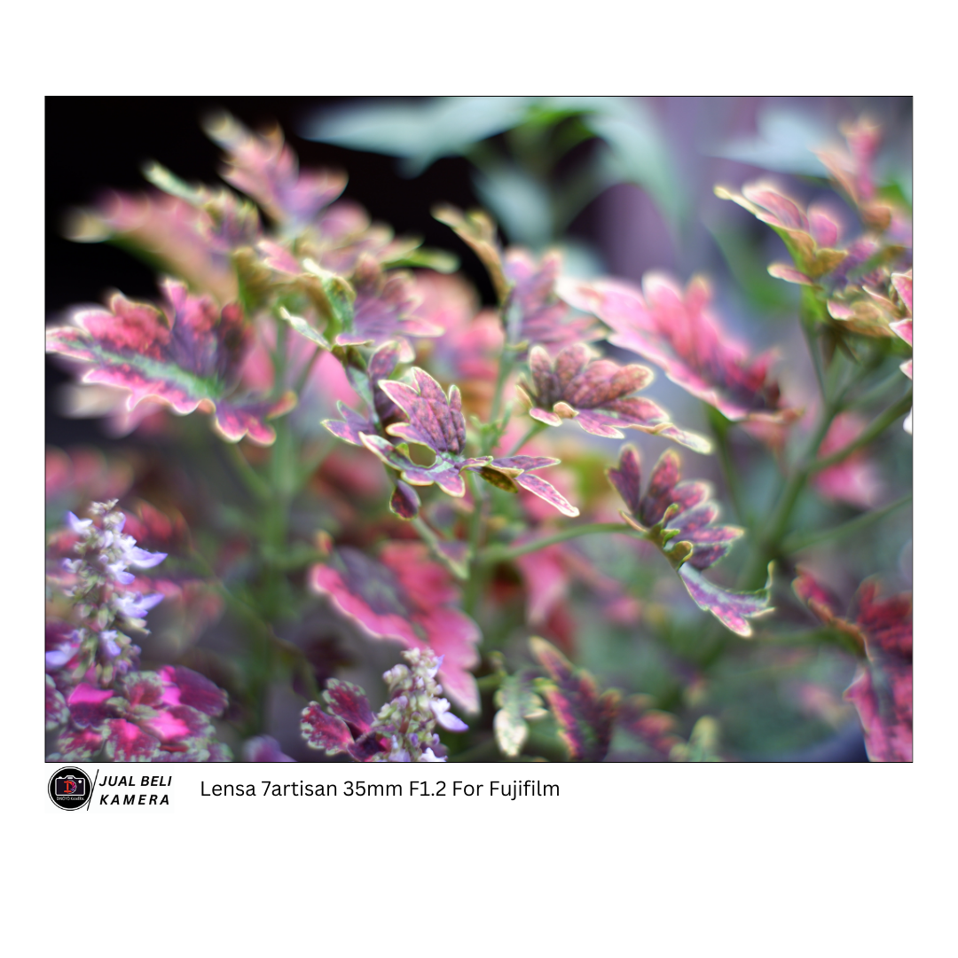 Lensa MF 7artisan 35mm f1.2 fujifilm