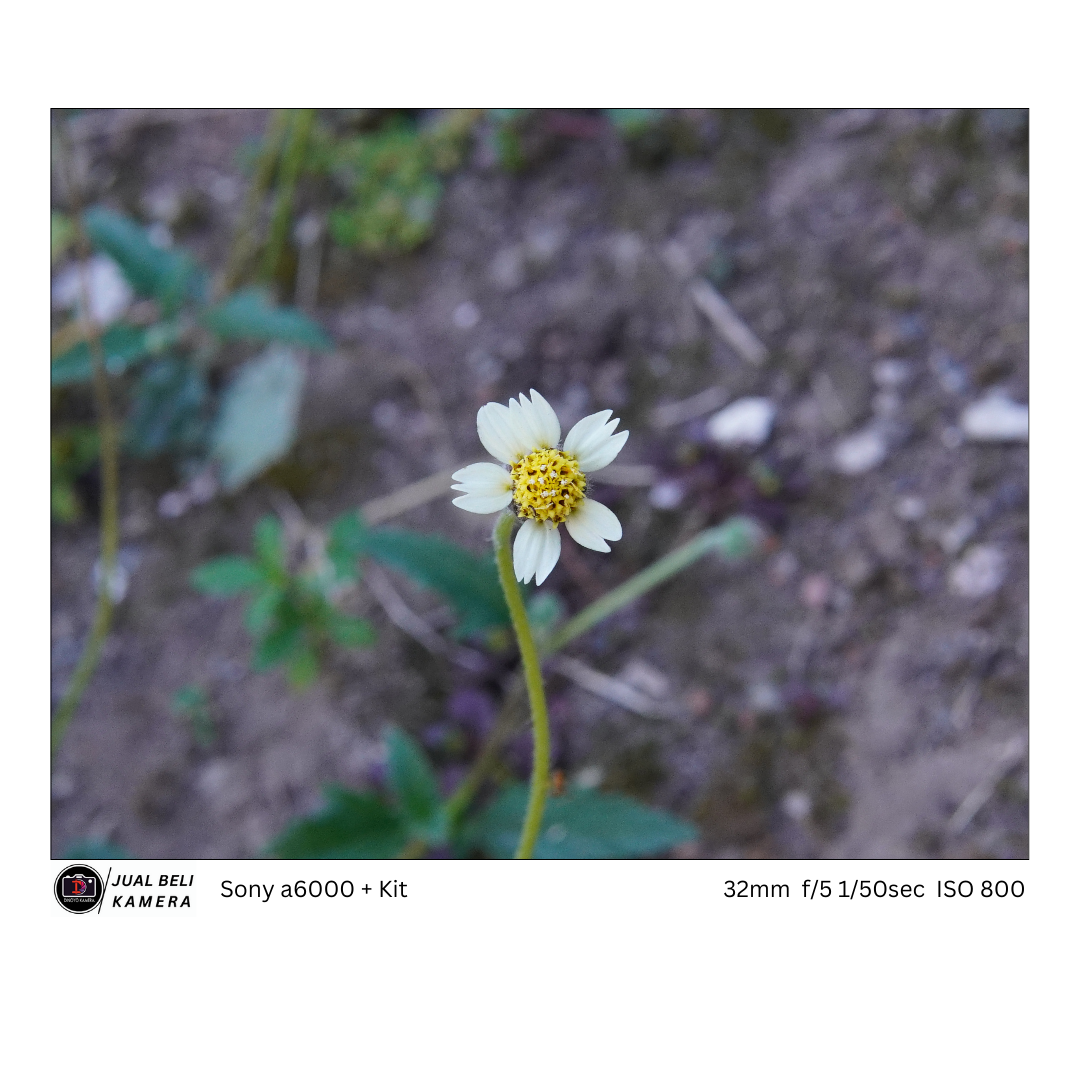 Sony a6000 Body Only