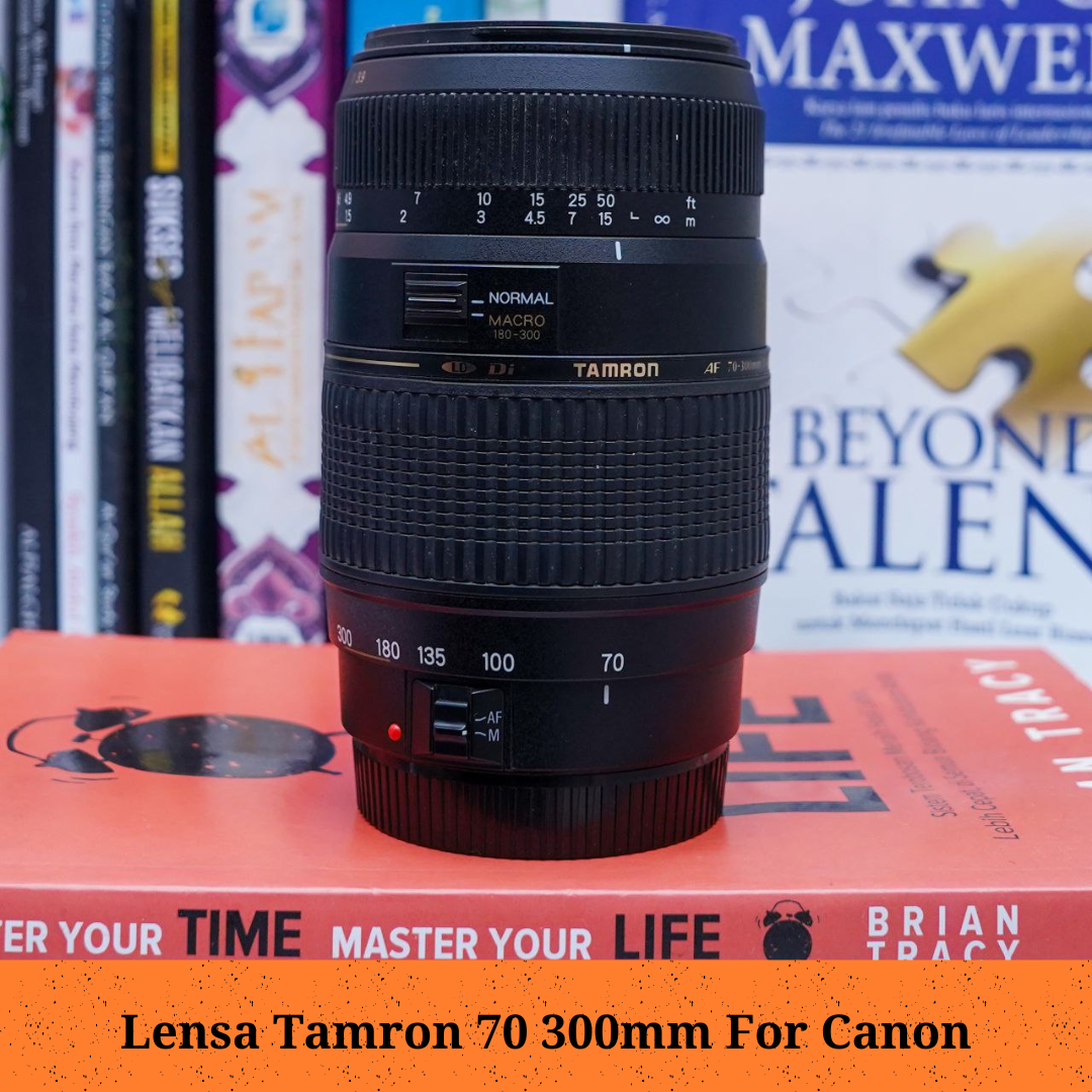 Tamron 70 300mm for canon
