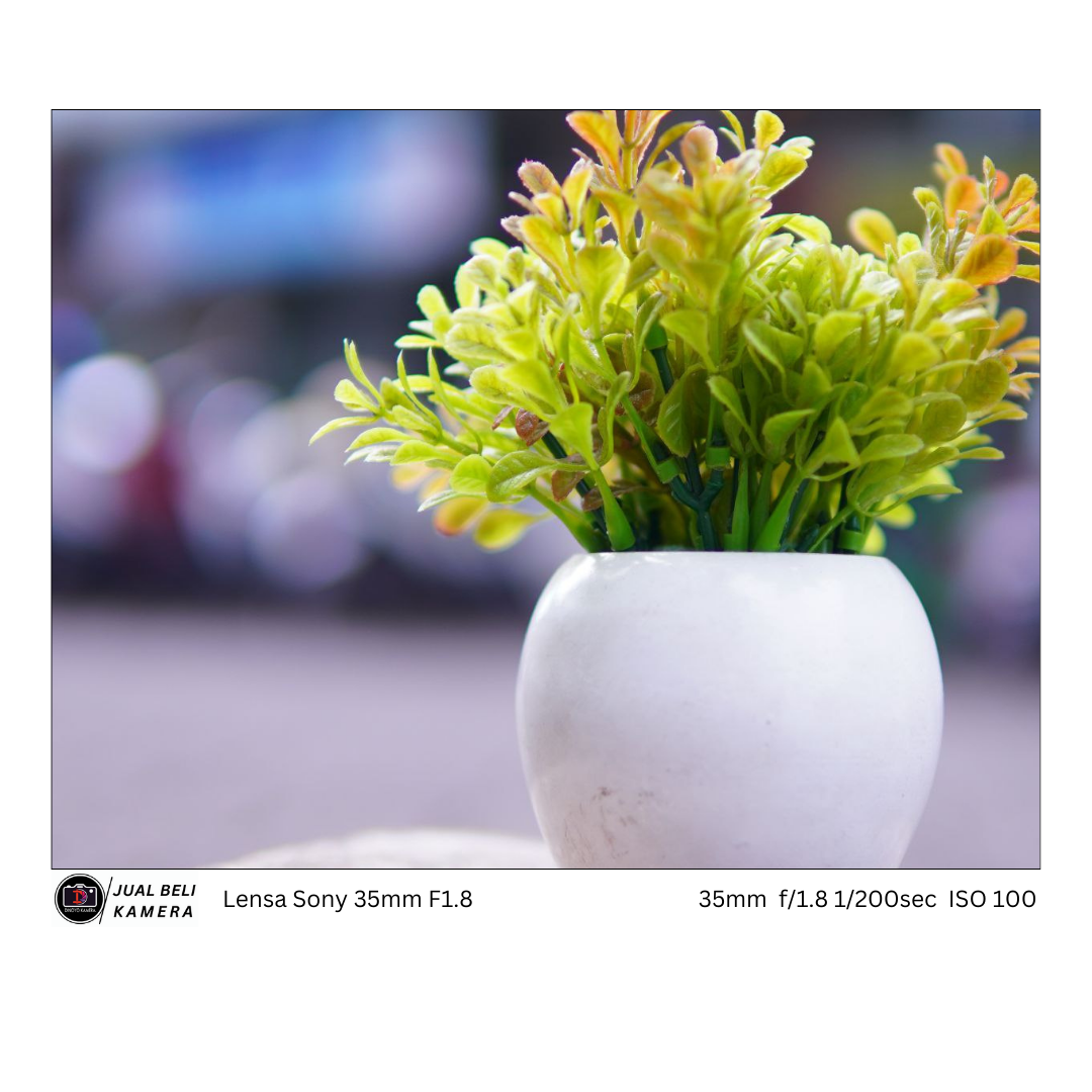 Lensa Sony 35mm F1,8 oss