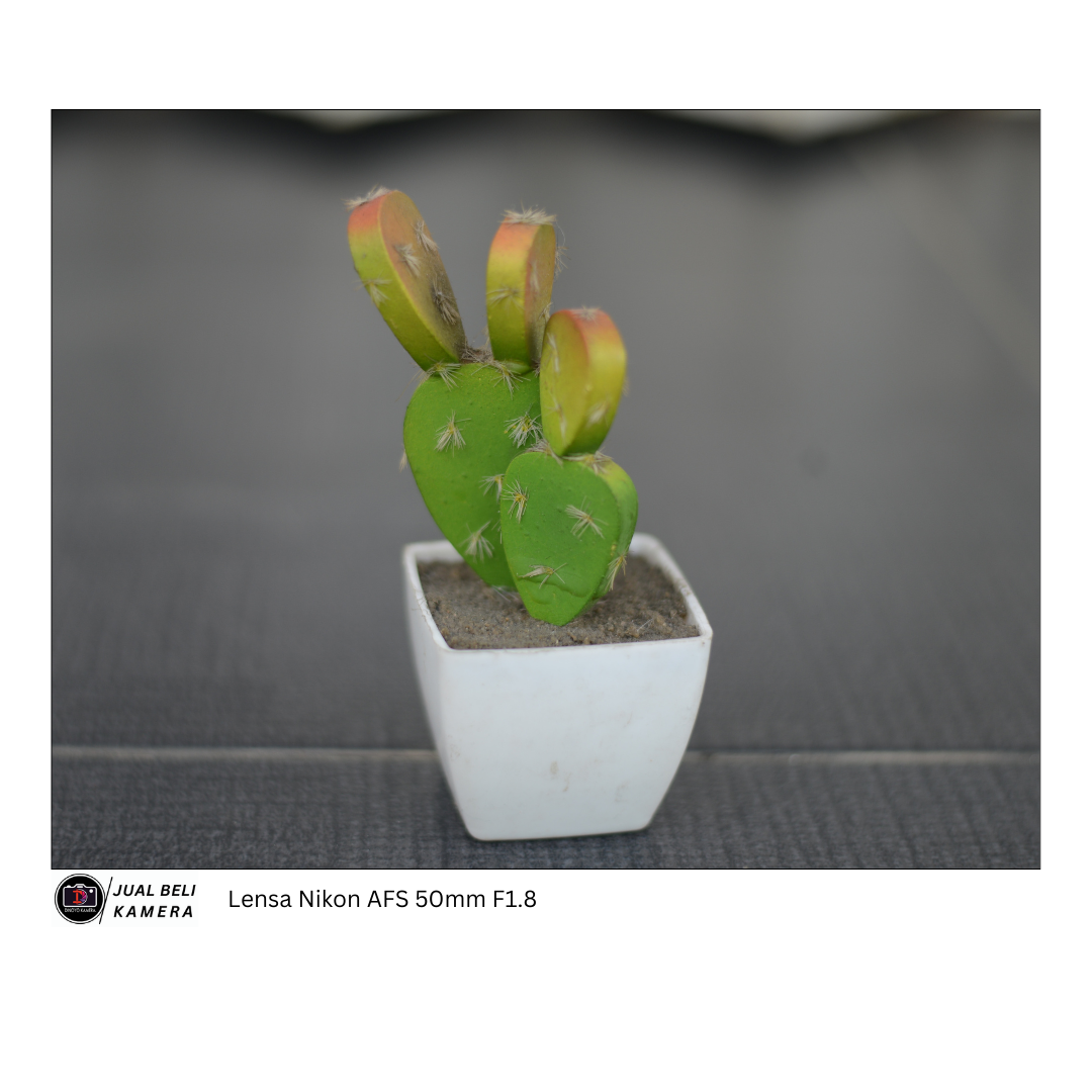 Lensa Nikon 50mm F1.8 AFS