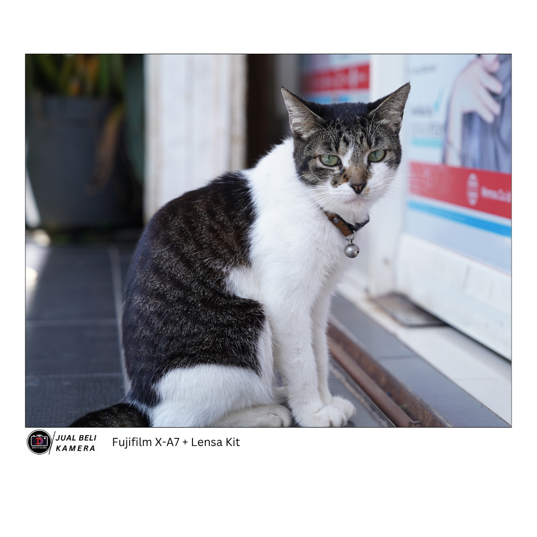 Fujifilm X a7 + kit 15 45mm