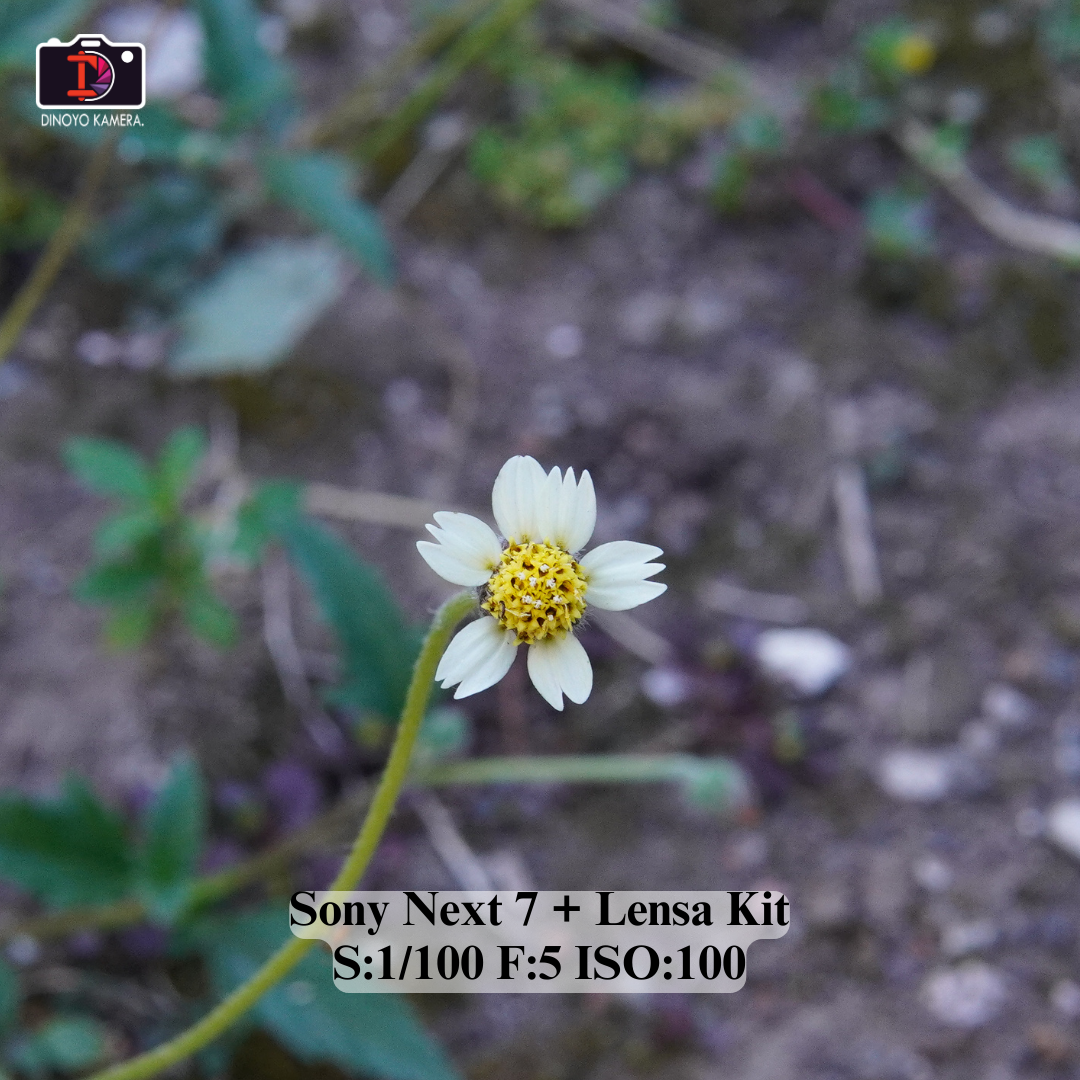 Sony Nex 7 + Kit 16 50mm