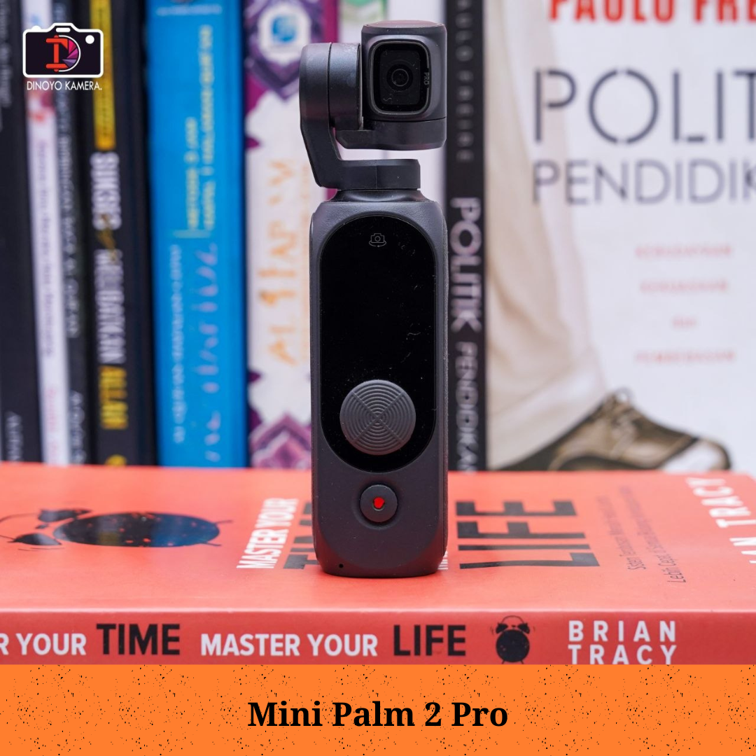 Mini Palm 2 Pro (Action Pocket)