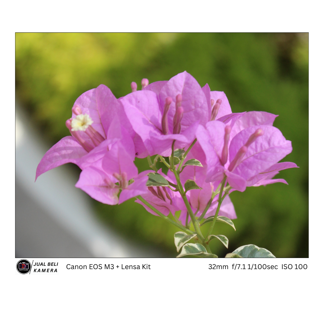 Canon m3 + kit 15 45mm is stm
