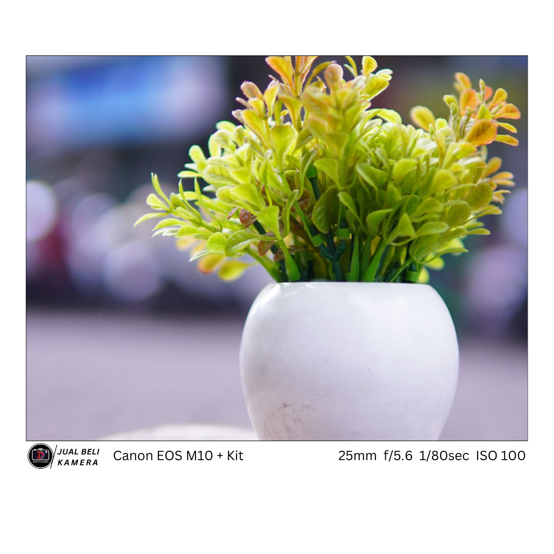 Canon M10 + kit 15 45mm is stm