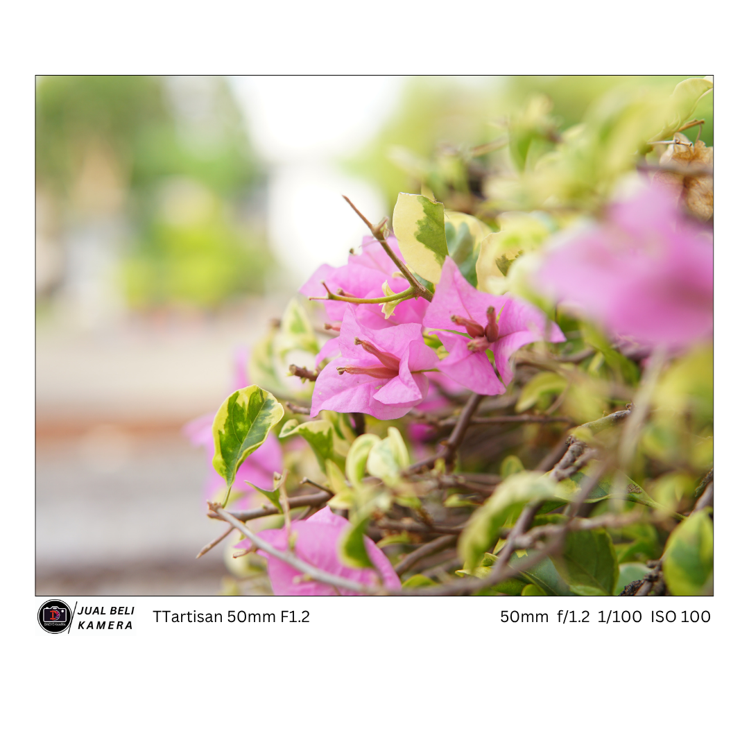 Lensa Manual TTartisan 50mm F1.2 For sony