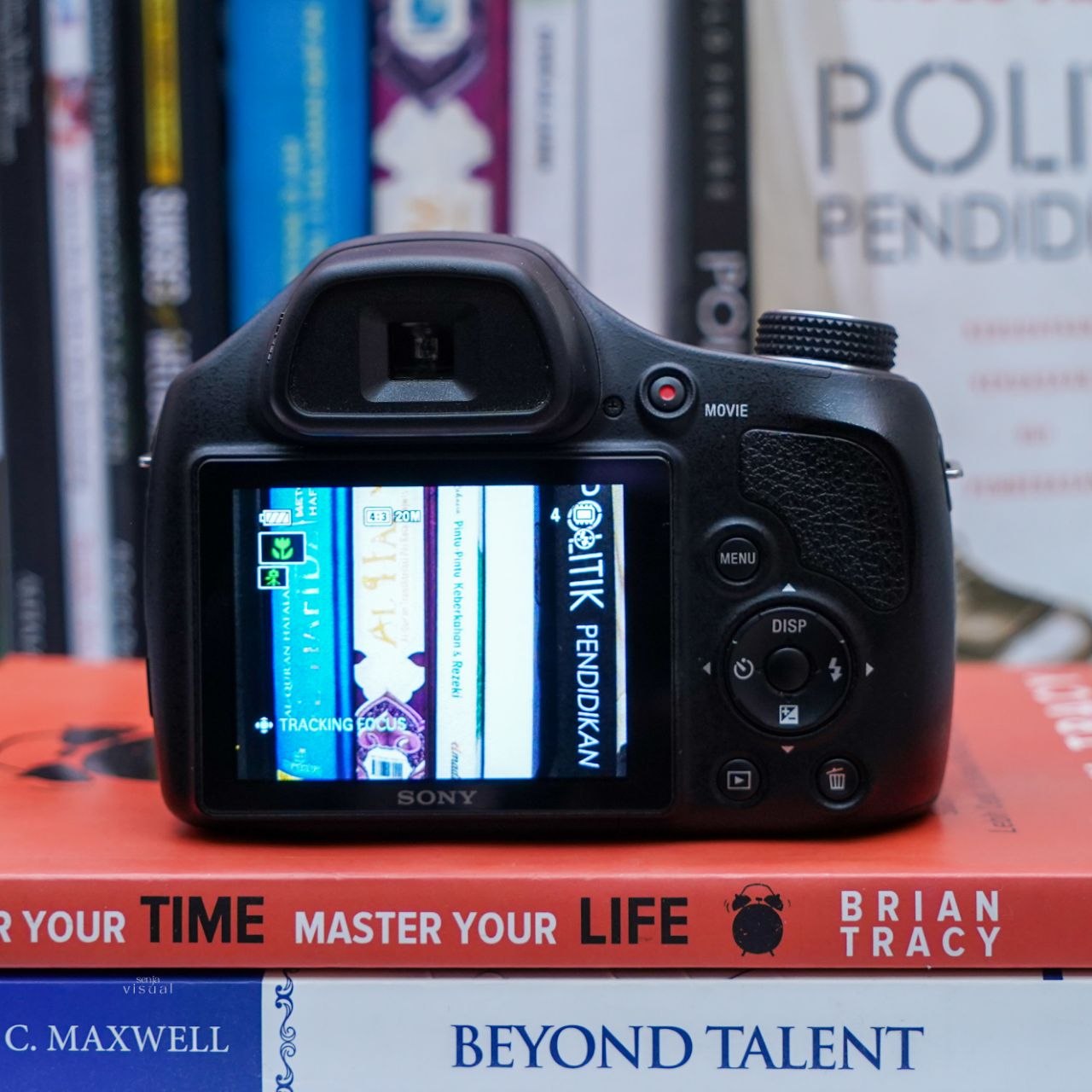 Sony DSC H400