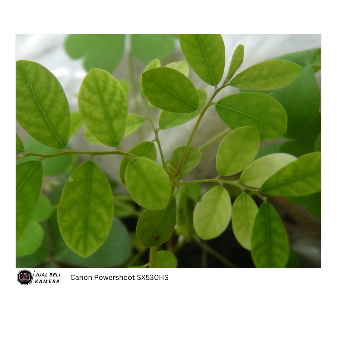 Canon Powershoot SX530HS