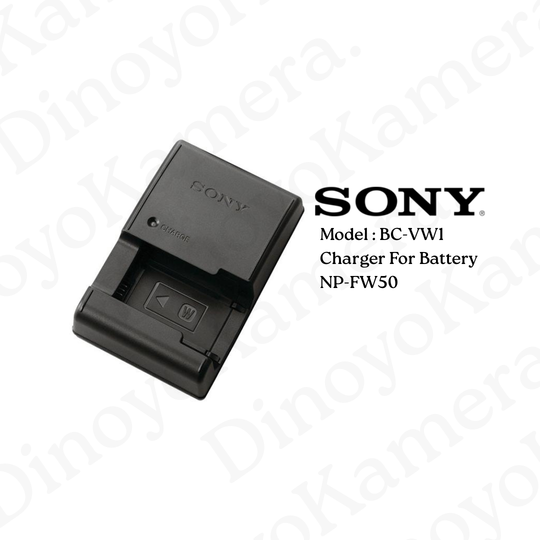 Charger BCVW1 (SONY)
