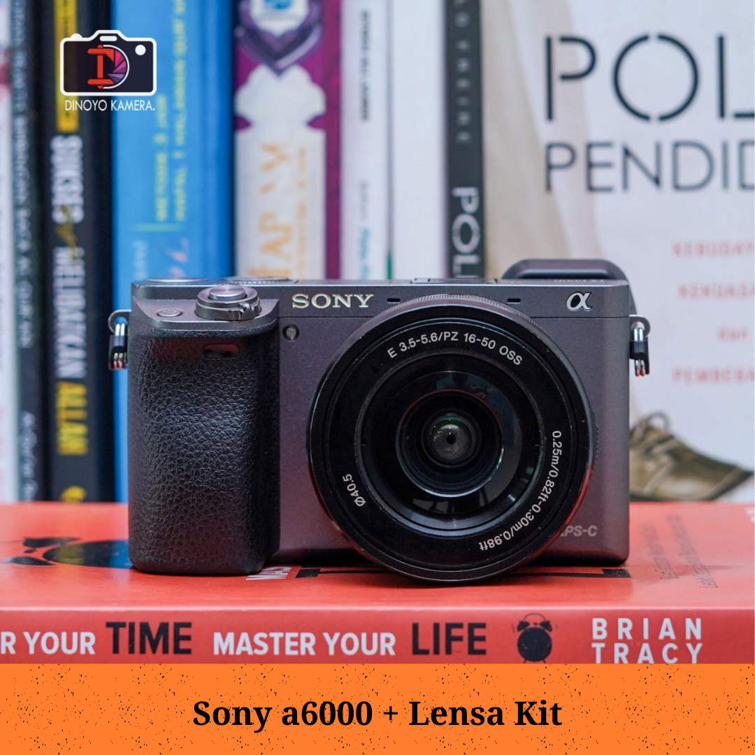 Sony a6000 + kit 16 50mm (grey)