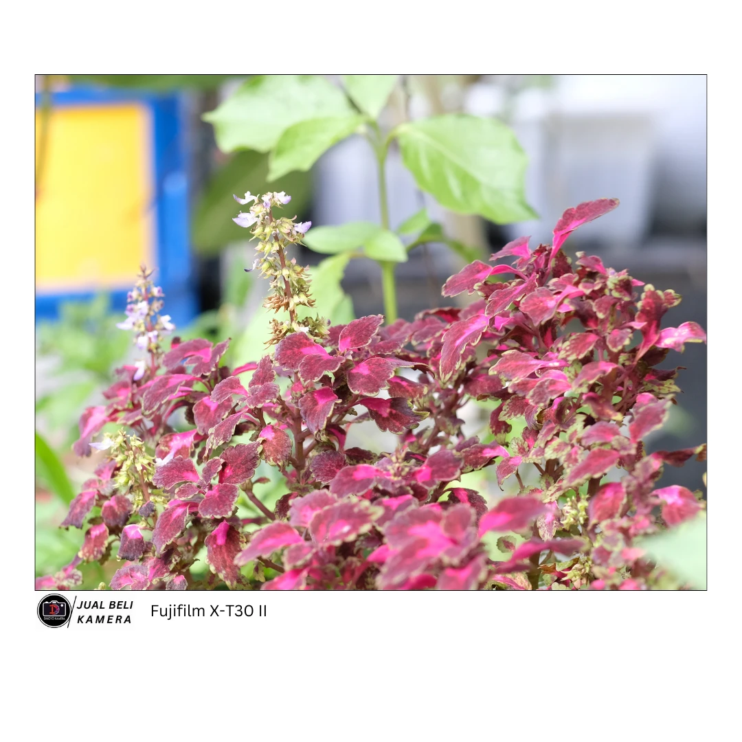 Fujifilm X T30 mark II Kondisi fungsional Baik