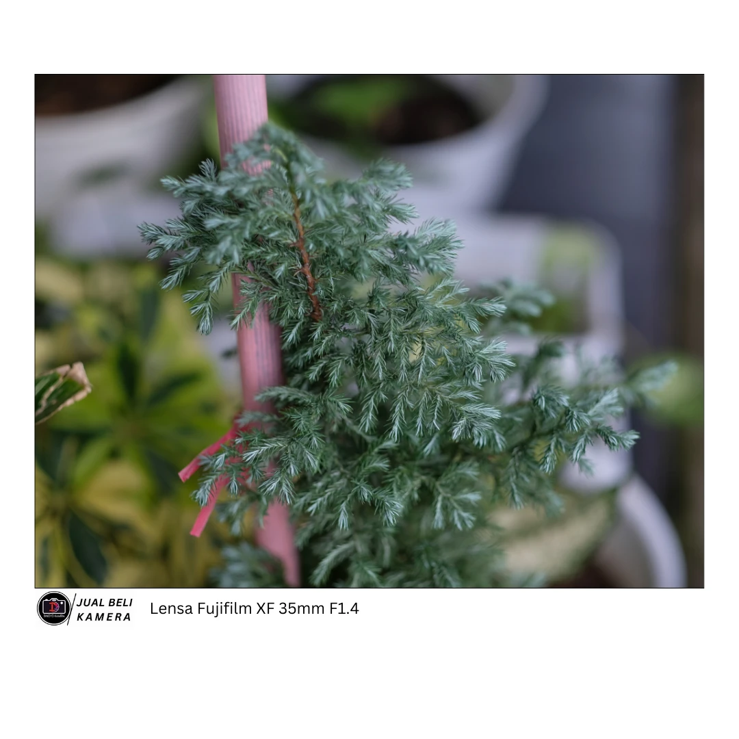 Lensa Fujifilm XF 35mm F1.4 Kondisi fungsional baik