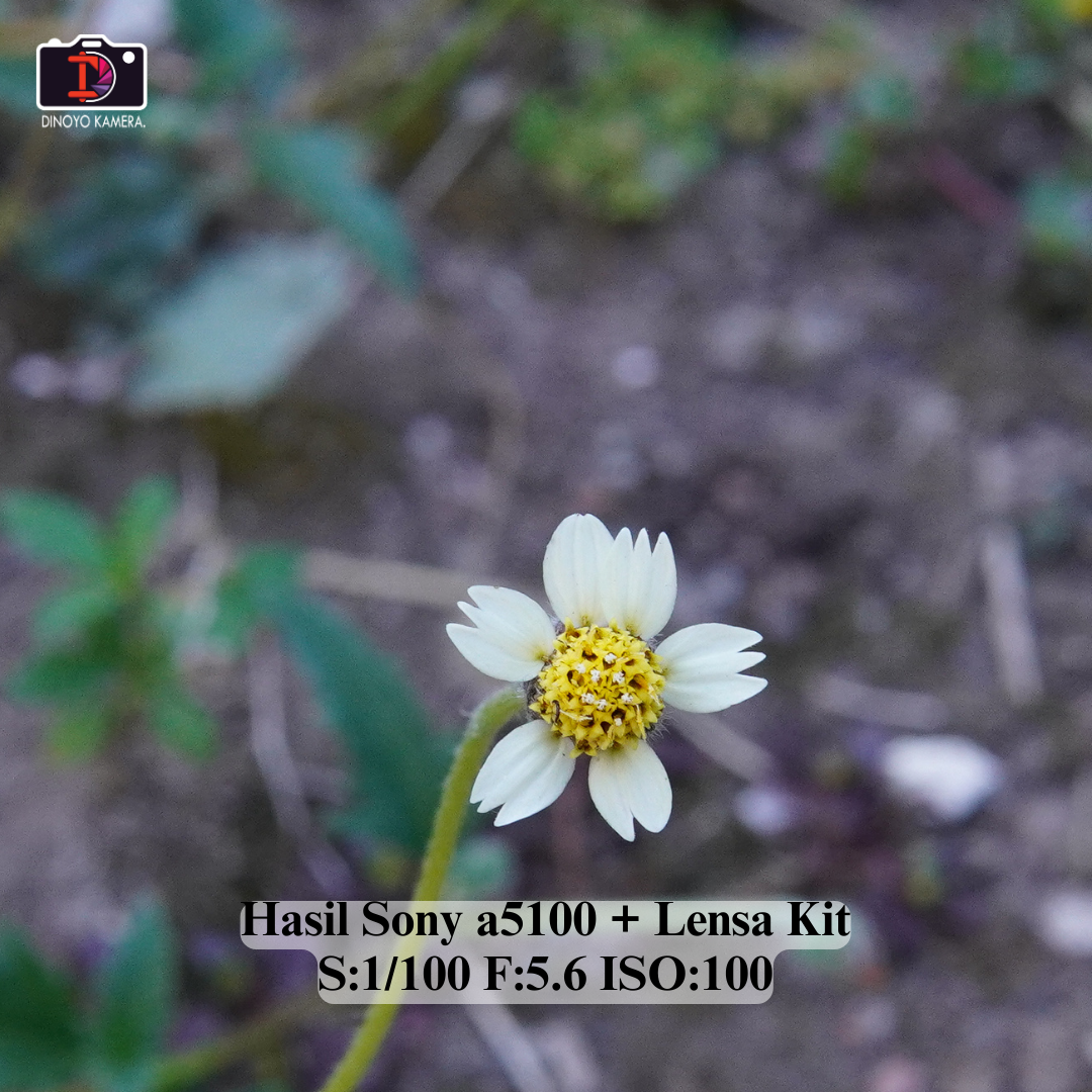 Sony a5100 + kit 16 50mm white