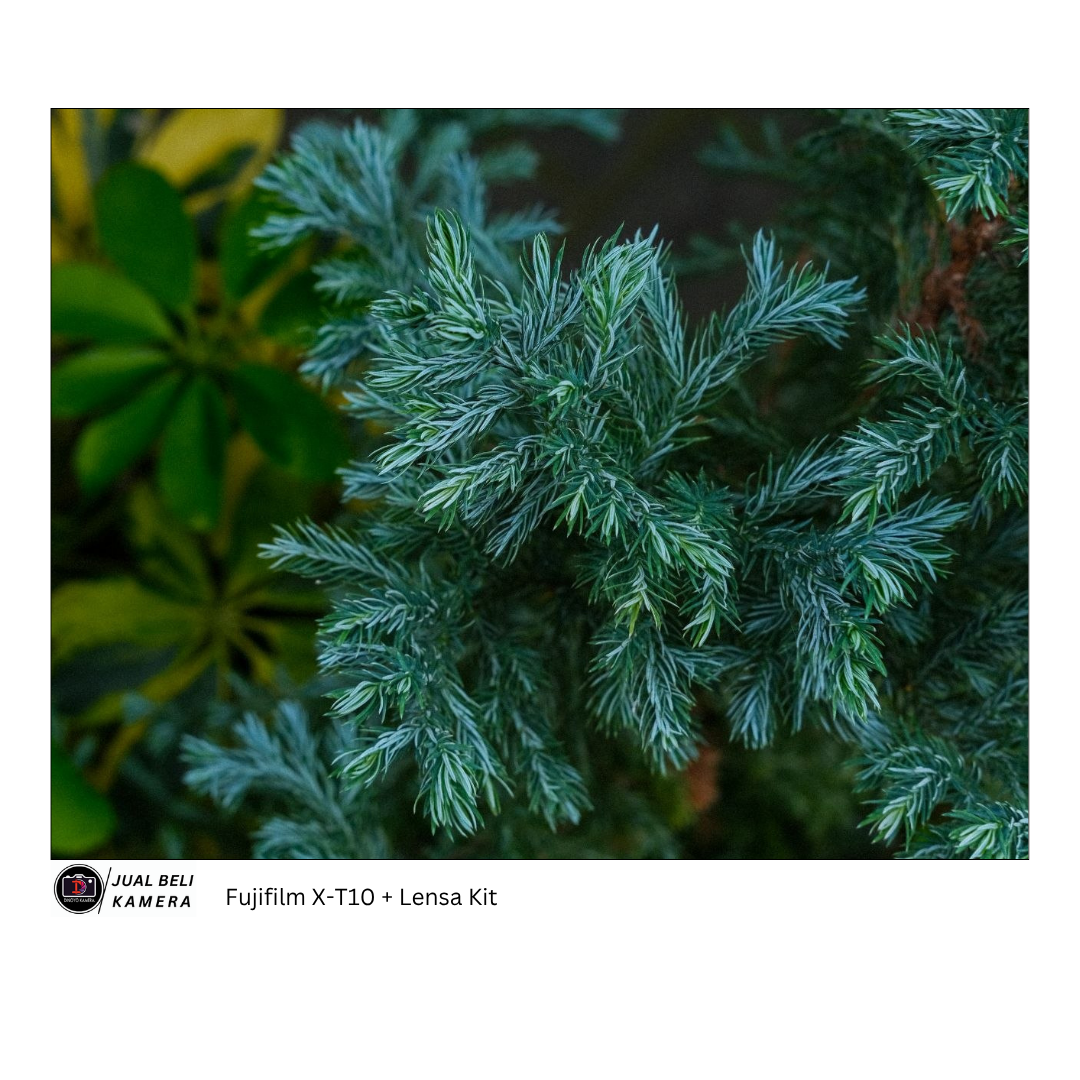 Fujifilm XT10 / X T10 / XT 10 + kit 16 50mm Kondisi Baik