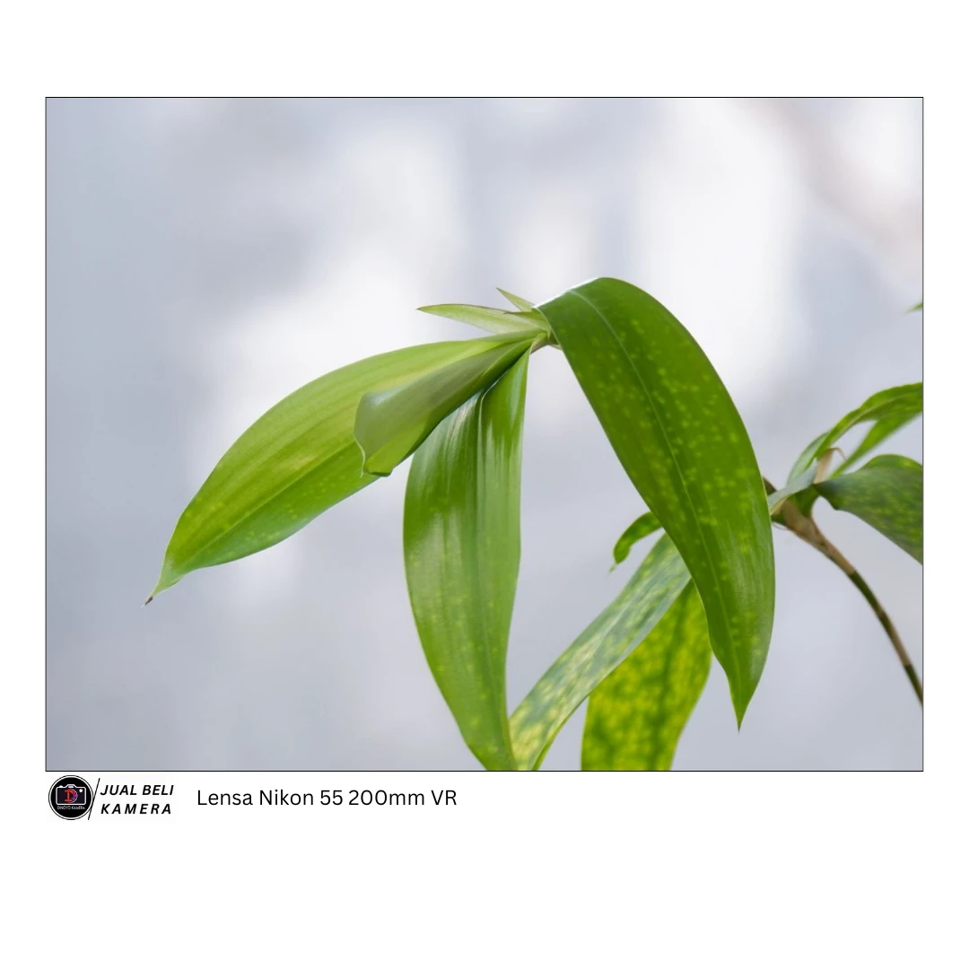 Lensa Nikon 55 200mm VR Kondisi Fungsional baik