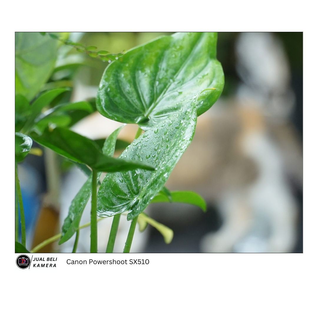Canon Powershoot SX510HS Kondisi Fungsional baik