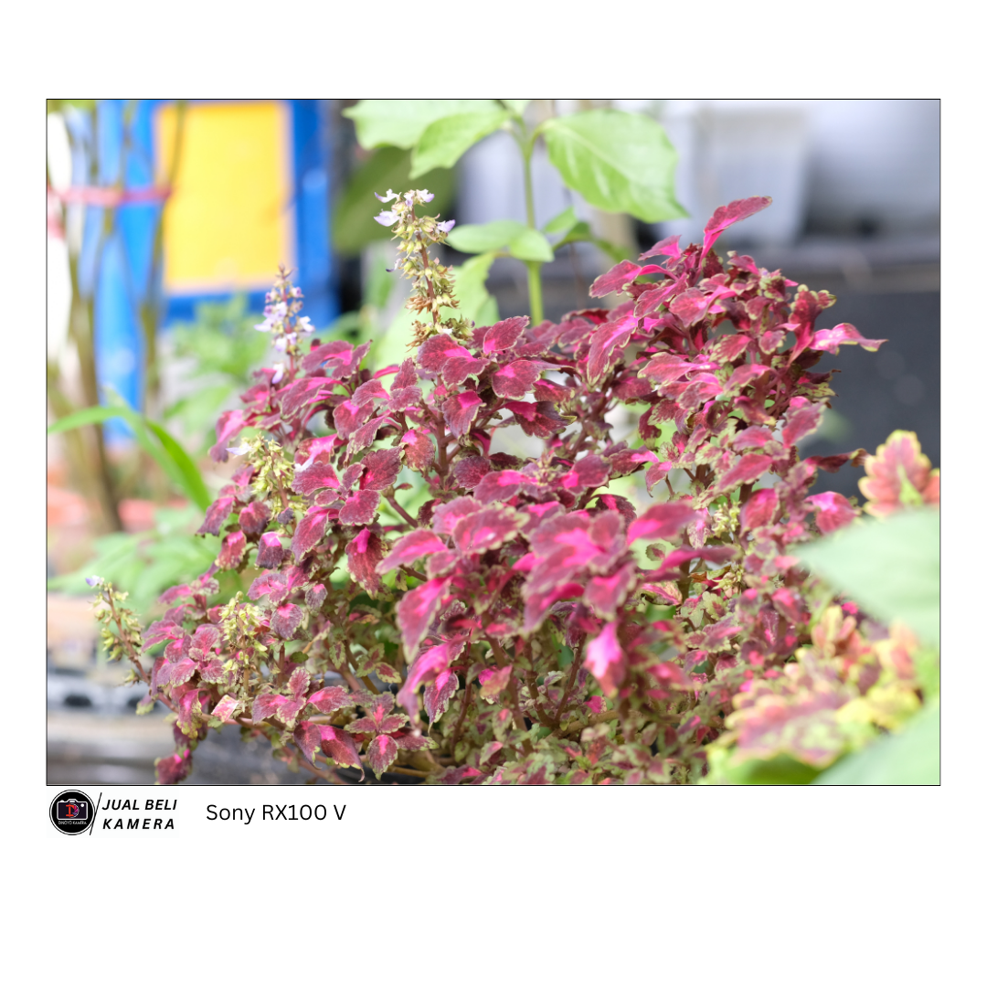 Sony RX100 mark V Kondisi Baik