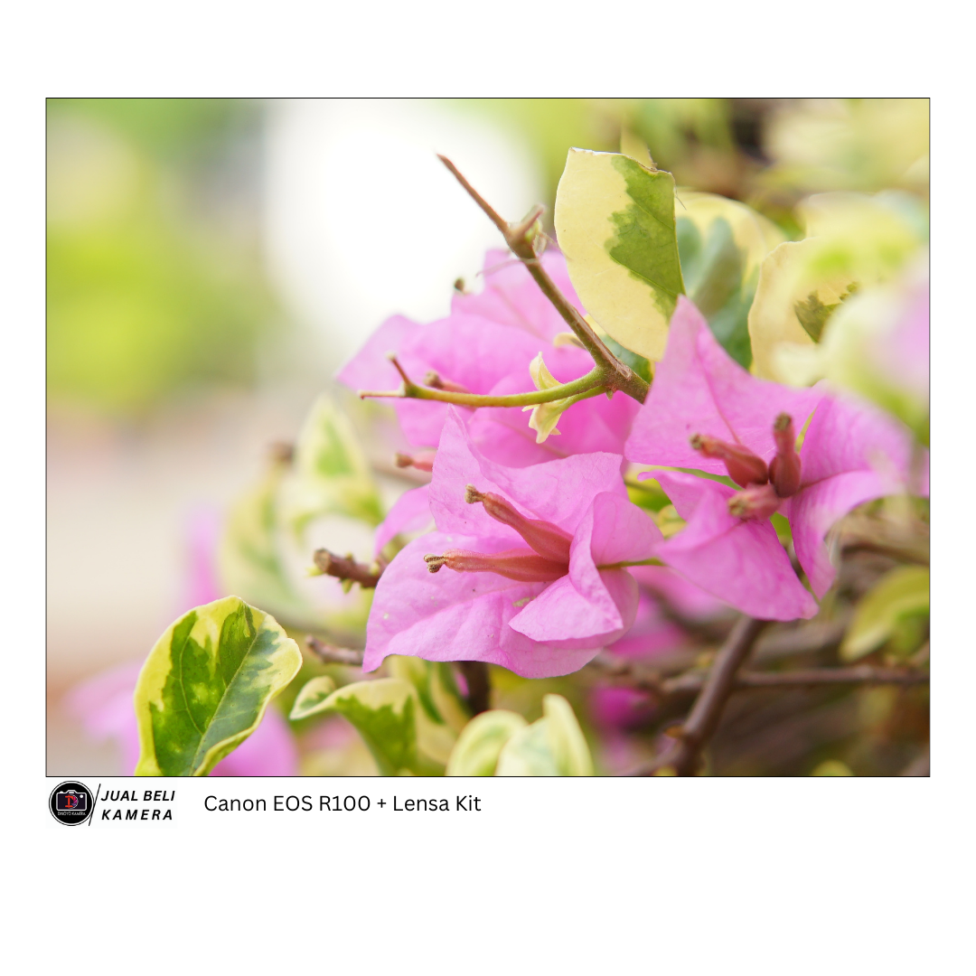 Canon R100 + kit 18 45mm Kondisi Baik